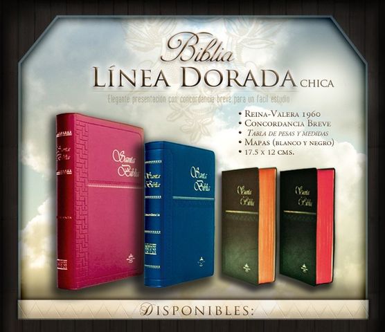 Sin Nombre