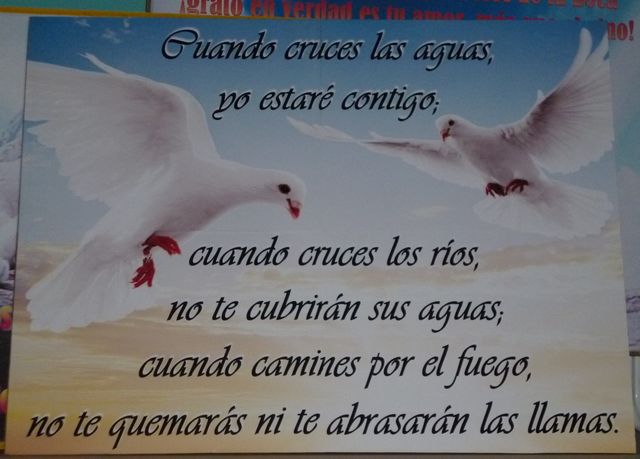 Sin Nombre